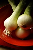 Three spring onions in a red bowl