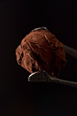 Tartufo chocolate truffle held in tongs