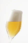 Glass of lager