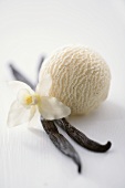 A scoop of vanilla ice cream, vanilla flower & vanilla pods