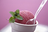 Fruits of the forest sorbet with mint in a beaker (close-up)