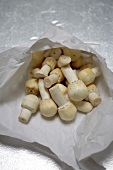 Horse mushrooms in a torn paper bag