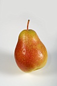 A Forelle pear with drops of water