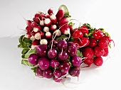 Various types of radishes, in bunches