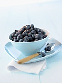 Blueberries in a blue bowl