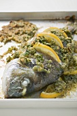 Roasted sea bream with herb crust and lemon slices