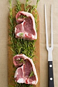 Two lamb chops on rosemary