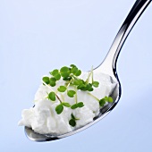 A spoonful of quark with rocket sprouts
