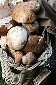 Fresh ceps in a basket at a market
