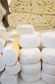 Various cheeses in a shop