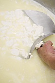 Mozzarella herstellen: Hand holt Käsemasse aus Behälter