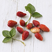 Wild strawberries with leaves