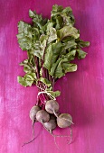 Beetroot with leaves, tied together