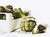 Artichokes in and beside crate