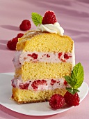 Piece of raspberry cake