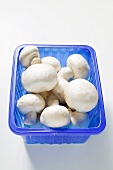 Several button mushrooms in a blue plastic punnet