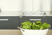 Spinach in a colander