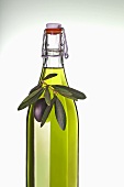 Bottle of olive oil with olive sprig