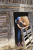 Modern farmer in front of old log cabin carrying a basket of hay on her back