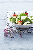 Spinach and cucumber salad with stuffed tomatoes