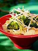 Pasta with broccoli