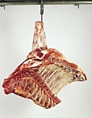 Front quarter of beef, on a hook
