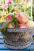 Basket of fresh peaches on a garden table