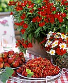 Redcurrants and strawberries, carnations and marguerites