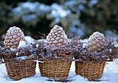 Winterlich dekorierte Pinienzapfen in Weidenkörbchen