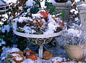 Winterlich dekorierter Drahtkorb im Schnee