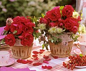 Roses in two flower pots on a table 