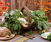 White icicle radishes in basket with bread and butter