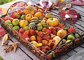 Metal tray with autumn decoration of ornamental gourds