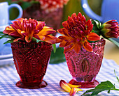 Two vases of dahlias