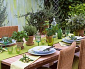 Laid table with herb pots as table decorations