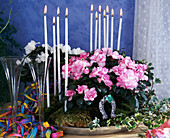 Gesteck aus Azalee & Efeu zum Jahreswechsel mit Silvesterdeko