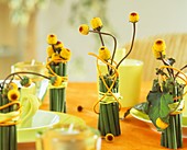 Table decoration of para cress (Spilanthes oleracea)