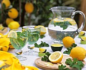 Zitronenwasser mit Pelargonium