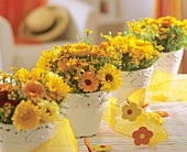 Pots of marigolds and Tagetes