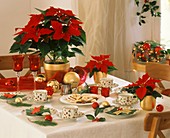 Table laid for coffee with poinsettias