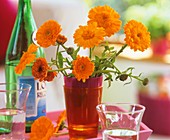 Marigolds in a glass