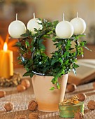 Ivy twisted round Advent candle holder