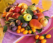 Obstteller mit Äpfeln, Birnen, Pflaumen und Kumquats