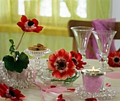 Anemone coronaria as table decoration