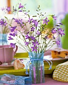 Spreading bellflower as table decoration