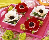 White and red Anemone coronaria in square porcelain bowls