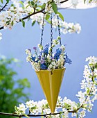 Frühlingsblumen in Hängevase am blühendem Kirschzweig
