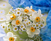 Posy of Narcissi and chamomile flowers