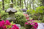 Japanese garden with stone lantern