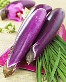 'Ping Tung Long' aubergines from Taiwan